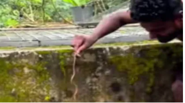 പാമ്പിന്റെ കൃത്യമായ വിവരങ്ങൾ ലഭിച്ചത് ചികിത്സ വേഗത്തിലാക്കാൻ ഡോക്ടർമാർക്ക് സഹായകരമായി
